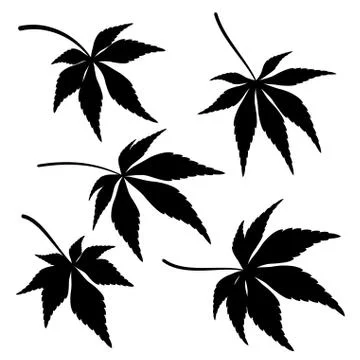 Maple Leaves, Pictogram Set Stock Illustration