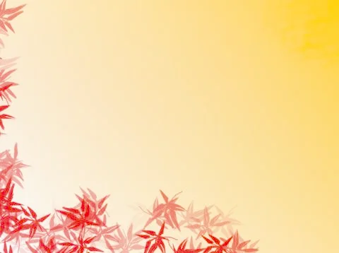 Maple leaves on plain yellow background. Greeting card template. Stock Photos