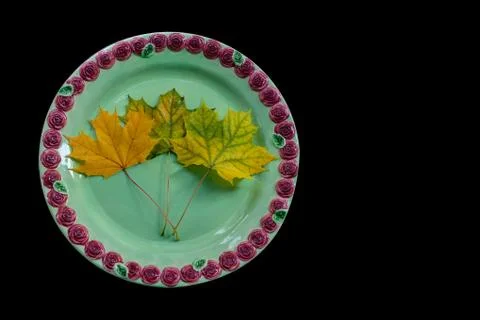 Maple leaves on a plate Stock Photos
