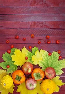 Maple leaves with red apples, pumpkins, persimmons and briar Stock Photos