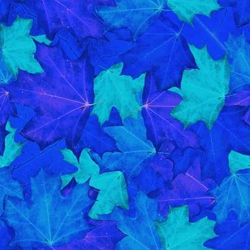 Maple leaves seamless pattern background Stock Photos
