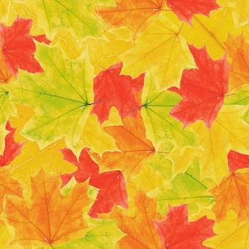 Maple leaves seamless pattern background Stock Photos