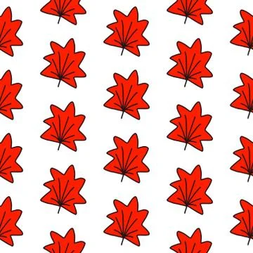 Maple leaves seamless pattern hand drawn in minimalistic style Stock Illustration