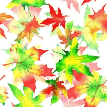 Maple leaves. Seamless pattern. Watercolor 스톡 일러스트