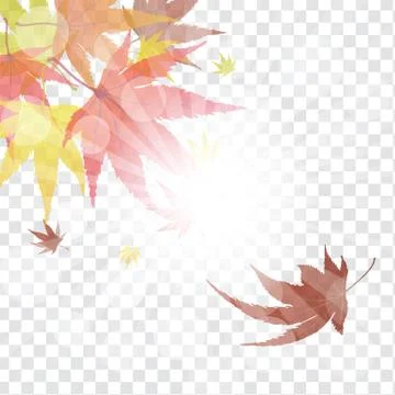 Maple leaves on transparency grid Stock Illustration