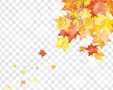Maple leaves on transparency grid Stock Illustration