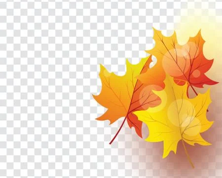 Maple leaves on transparency grid Stock Illustration