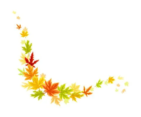 Maple Palmate Leaves of Bright Autumn Colour Arranged in Decorative Border Line Stock Illustration