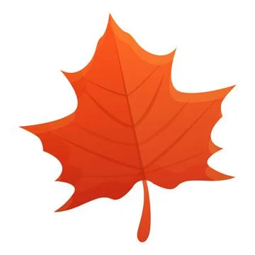 Maple red leaf icon, cartoon style Stock Illustration