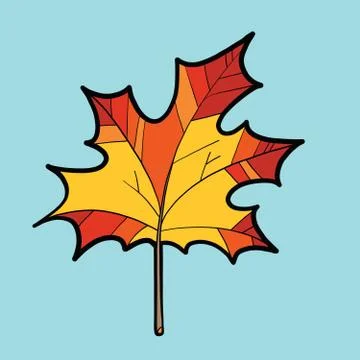 Maple red leaf, nature autumn season イラスト素材