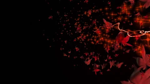 Maple red leaves glow light trail particle animation Video stock 147576993
