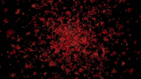 Maple red leaves particle animation Video stock 147580413