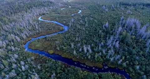 Maple River Emmet County Michigan Drone Aerial View Stock Footage 150318934