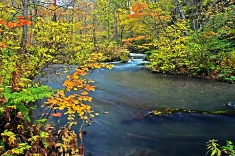 Maple river Stock Photos