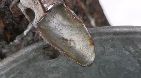 Maple Sap Running Down the Spile in Nova Scotia Close up. Stock Footage 36482748