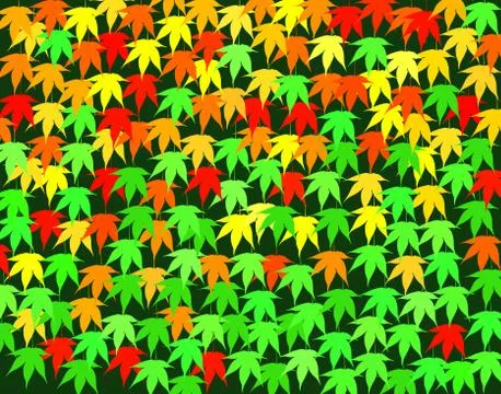 Maple seasons Stock Illustration