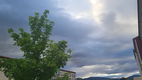 Maple in Stormy Dark Sky with Hotel Apartment Condo Building Stock-Footage 338255762