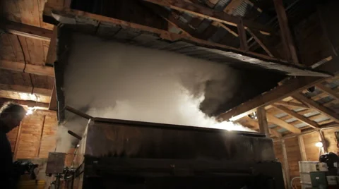 Maple Sugar Evaporator Steam Stock Footage