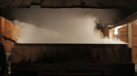 Maple Sugar Evaporator Steam Stock Footage 5503874