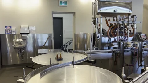 Maple syrup bottling line with automated conveyor system indoors Stock Footage 302544603