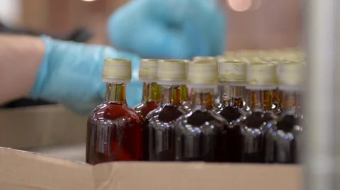Maple Syrup Bottling Plant Stock Footage 58882791
