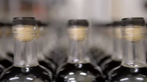 Maple Syrup Bottling Plant Stock Footage 58882826
