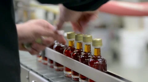 Maple Syrup Bottling Plant Stock Footage 58882905