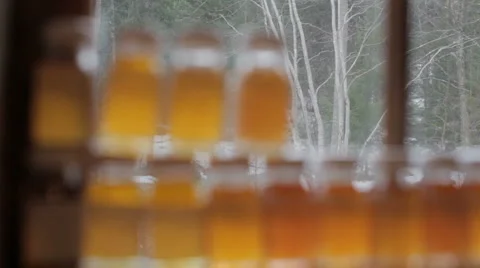 Maple Syrup Samples and Snow Stock Footage 5503876