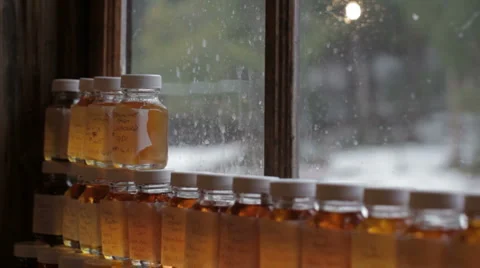 Maple Syrup Samples Stock Footage 5503887