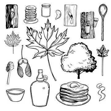 Maple syrup set. Sketch  illustration. Stock Illustration