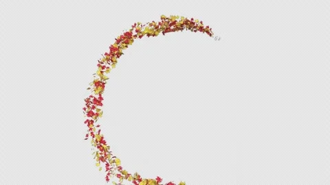 Maple Trail Stock Footage 252573186