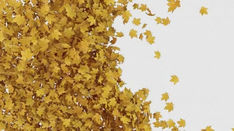Maple Transition on Alpha Channel Stock Footage 256735710