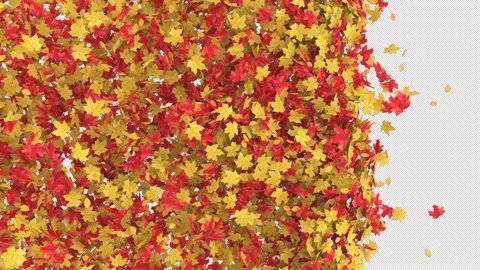Maple Transition on Alpha Channel Stock Footage 301779071