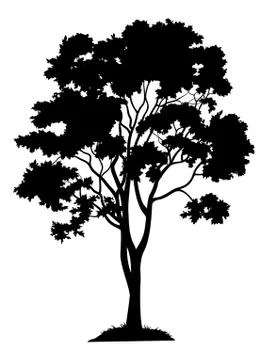 Maple tree and grass, silhouette Stock-Illustration