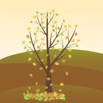 Maple tree autumn Stock Illustration