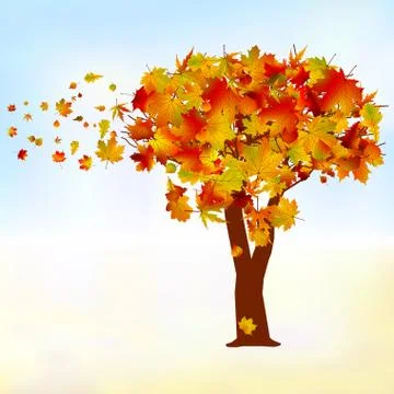 Maple tree, autumn leaf fall. EPS 8 Stock Illustration