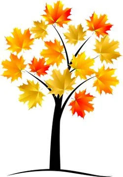 Maple tree, autumn leaf,vector Stock Illustration