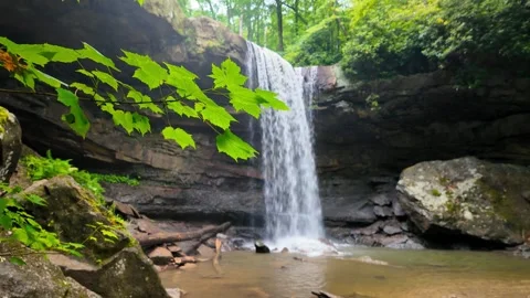 Maple tree foliage in front of Cucumber waterfall in Ohiopyle state park in.. Stock Footage 327632962