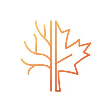 Maple tree gradient linear vector icon Stock Illustration