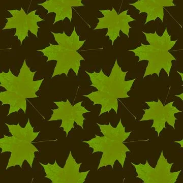 Maple tree green leaf seamless pattern, repeat background Illustrazione stock