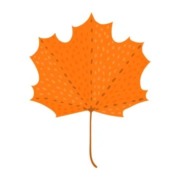 Maple tree leaf in autumn hand drawn illustration. Stock Illustration