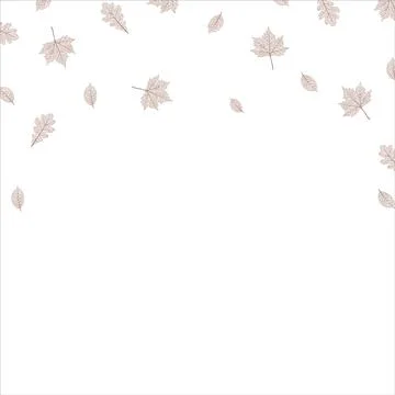 Maple tree leaf brown texture. Frame vector pattern. Autumn season theme イラスト素材