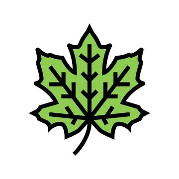 Maple tree leaf color icon vector illustration Stock Illustration