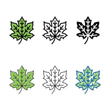 Maple tree leaf color icon types vector Stock Illustration