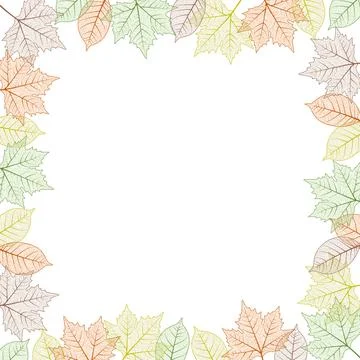 Maple tree leaf frame. Vector illustration. Autumn colors graphic card template Stock Illustration