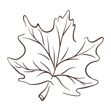 Maple tree leaf in line art style. Thanksgiving day, autumn season, Canada Stock Illustration