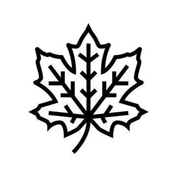 Maple tree leaf line icon vector illustration Stock Illustration