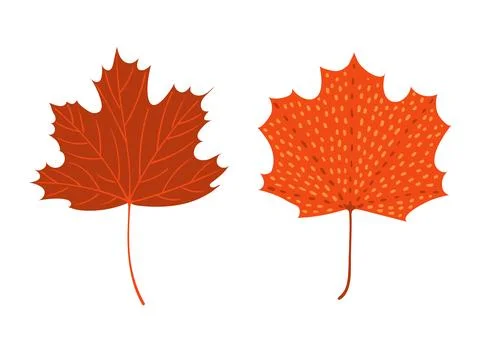 Maple tree leaves in autumn isolated set Stock Illustration