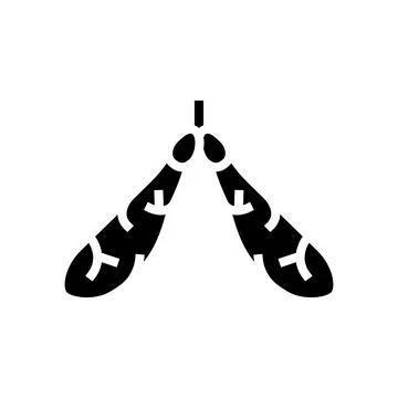Maple tree leaves glyph icon vector illustration Stock Illustration