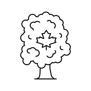 Maple tree line icon vector illustration Stock Illustration